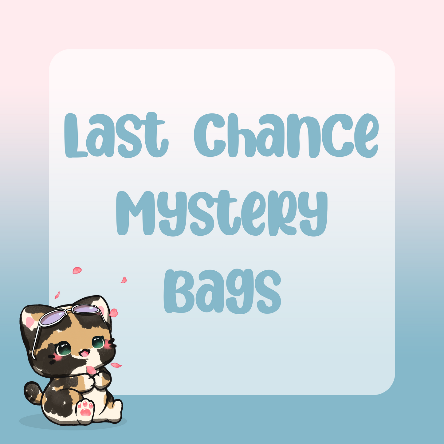 Last Chance Mystery Bags